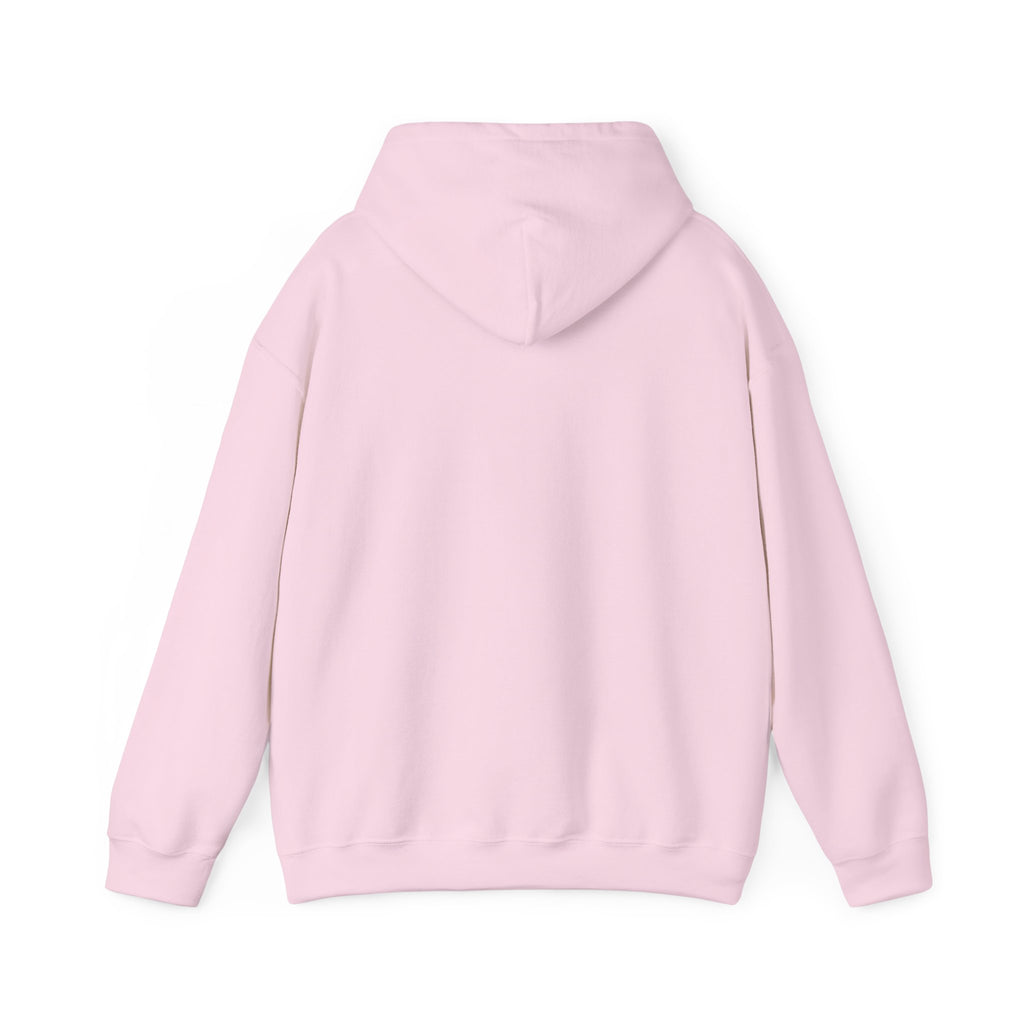 Believe John 14:1 Hoodie
