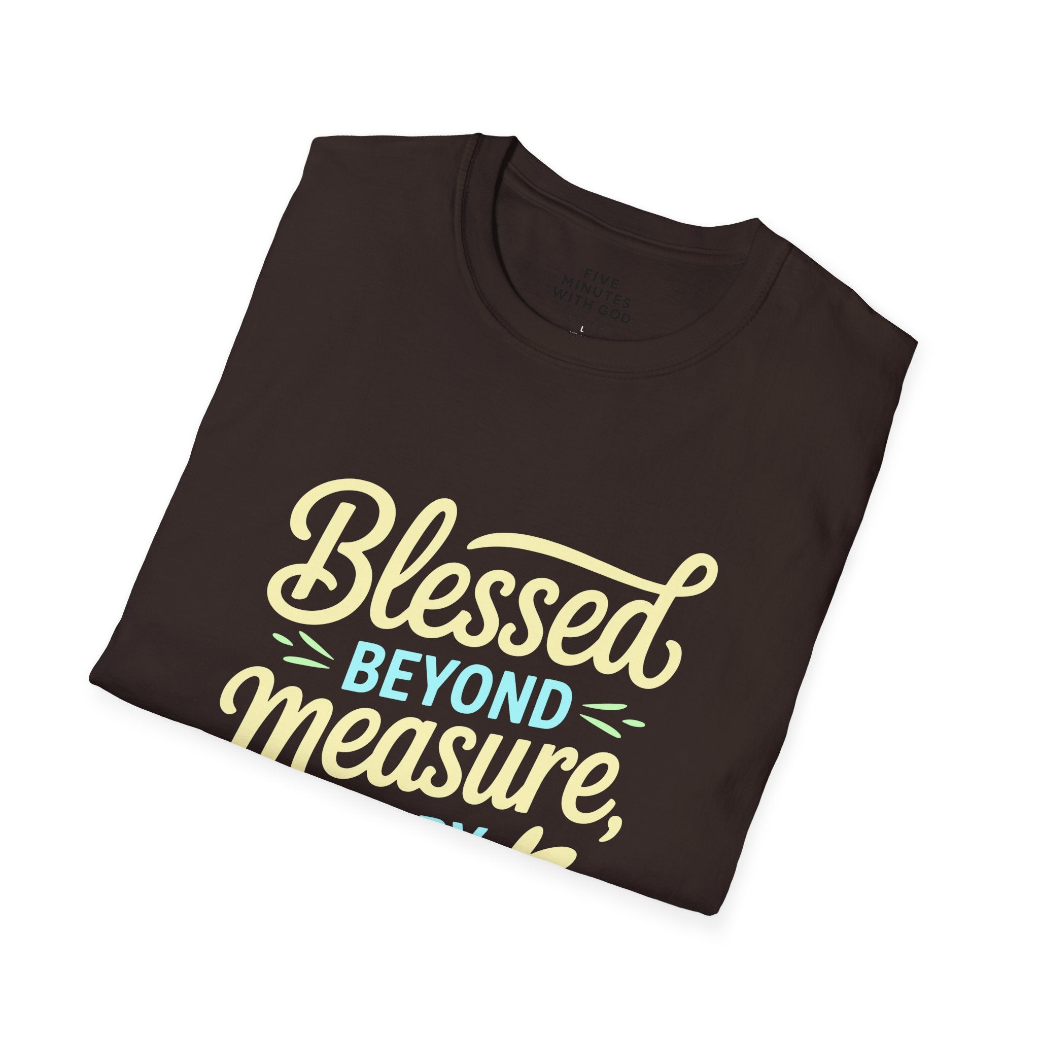 Blessed Beyond Measure Every Single Day T-Shirt
