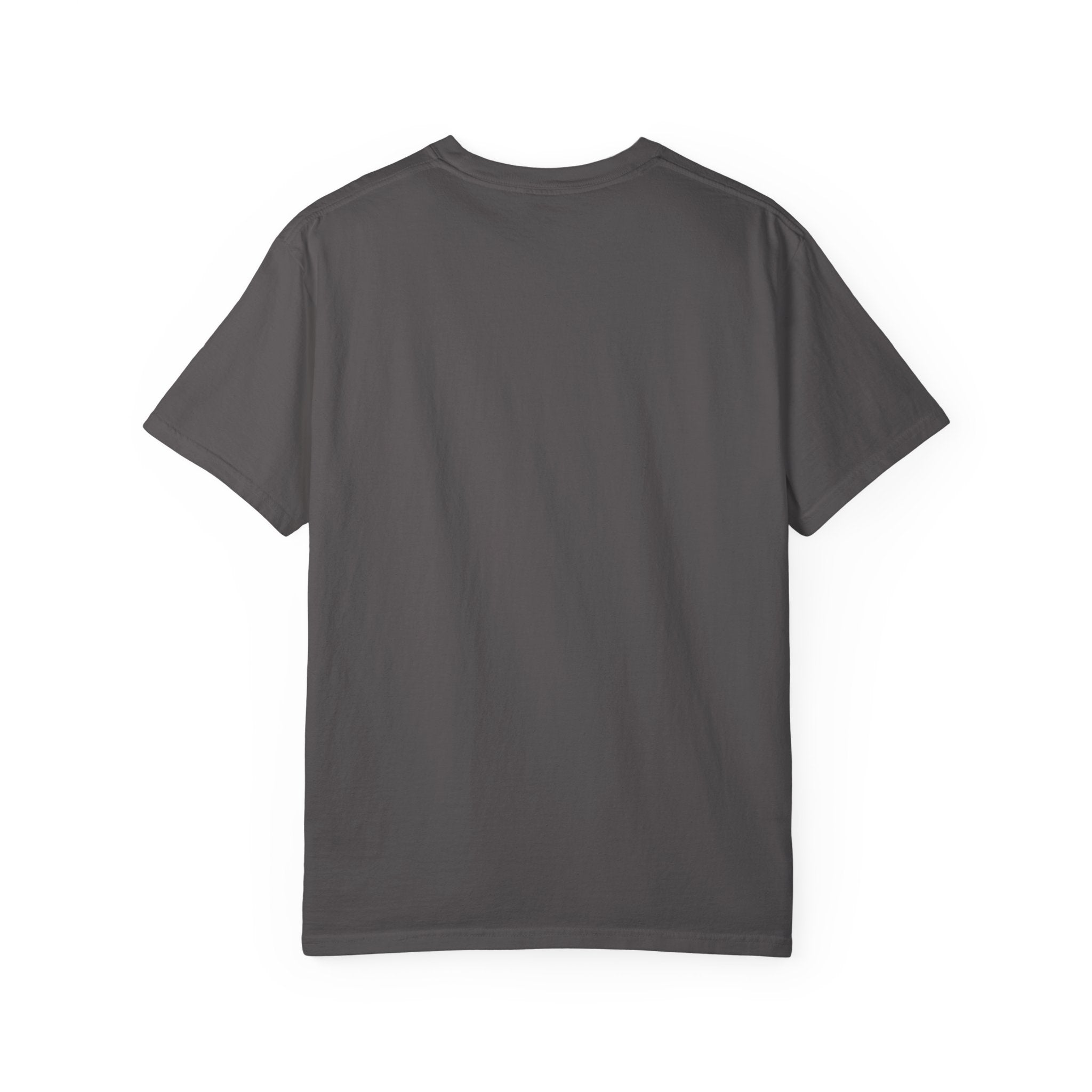 Inspirational T-Shirt - He Sent His Word & Healed Me