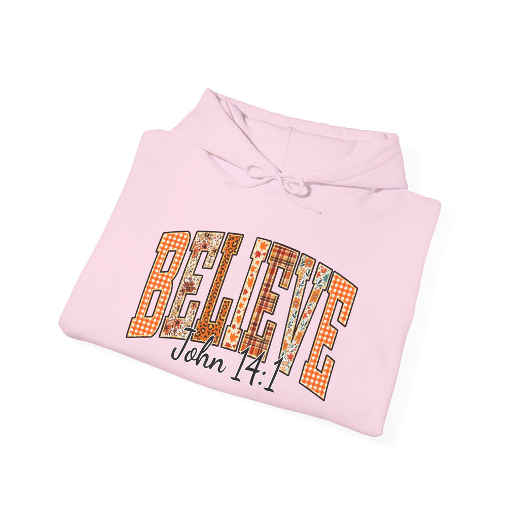 Believe John 14:1 Hoodie