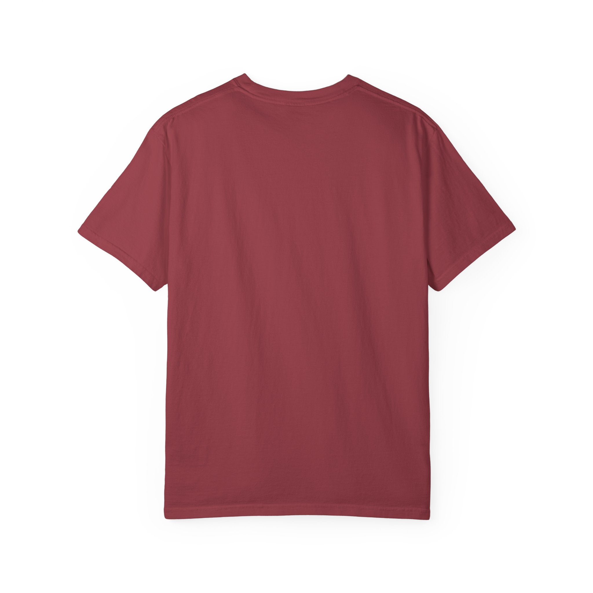 Inspirational T-Shirt - He Sent His Word & Healed Me