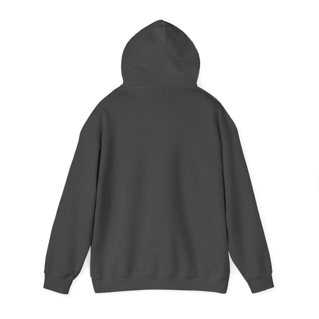 Believe John 14:1 Hoodie
