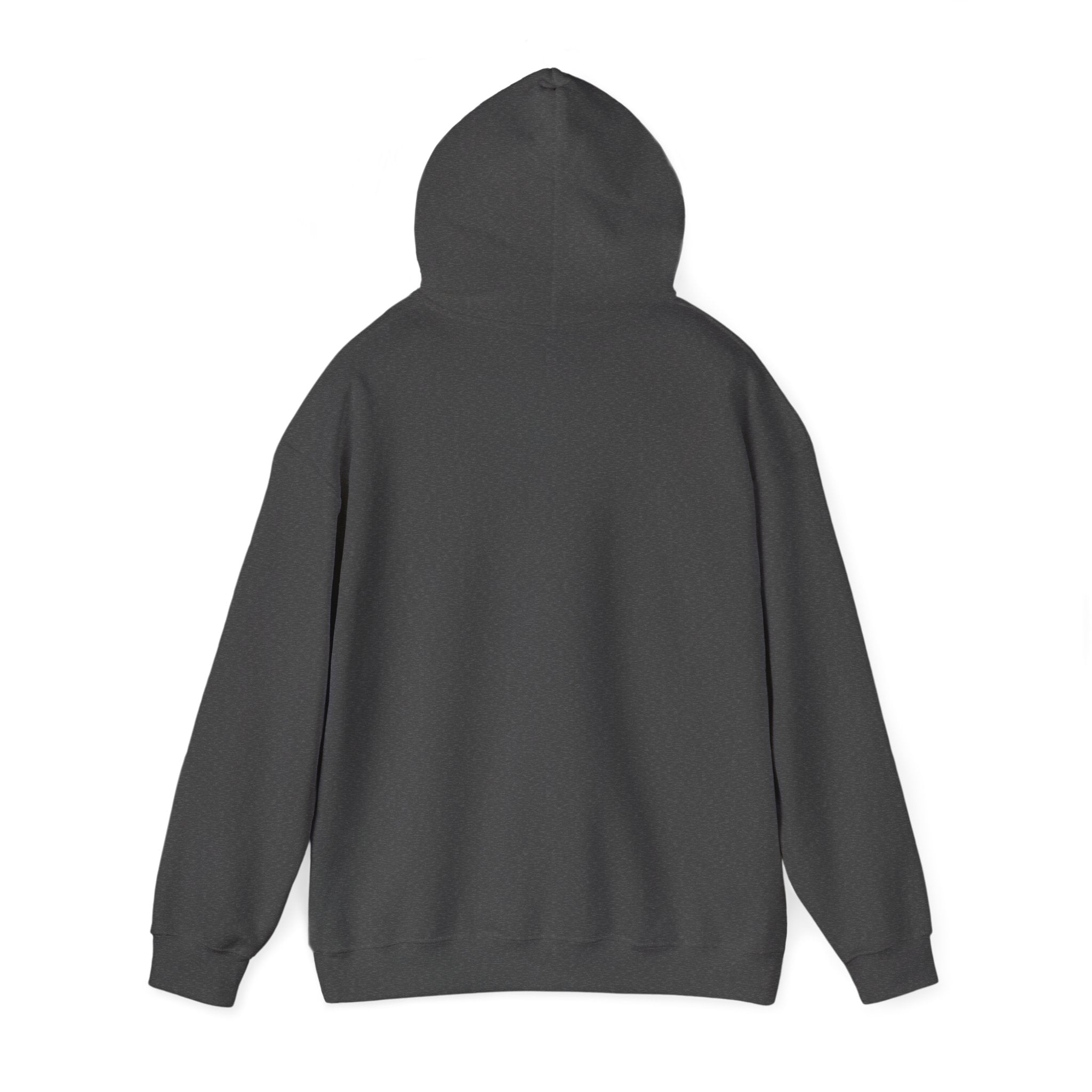 Believe John 14:1 Hoodie