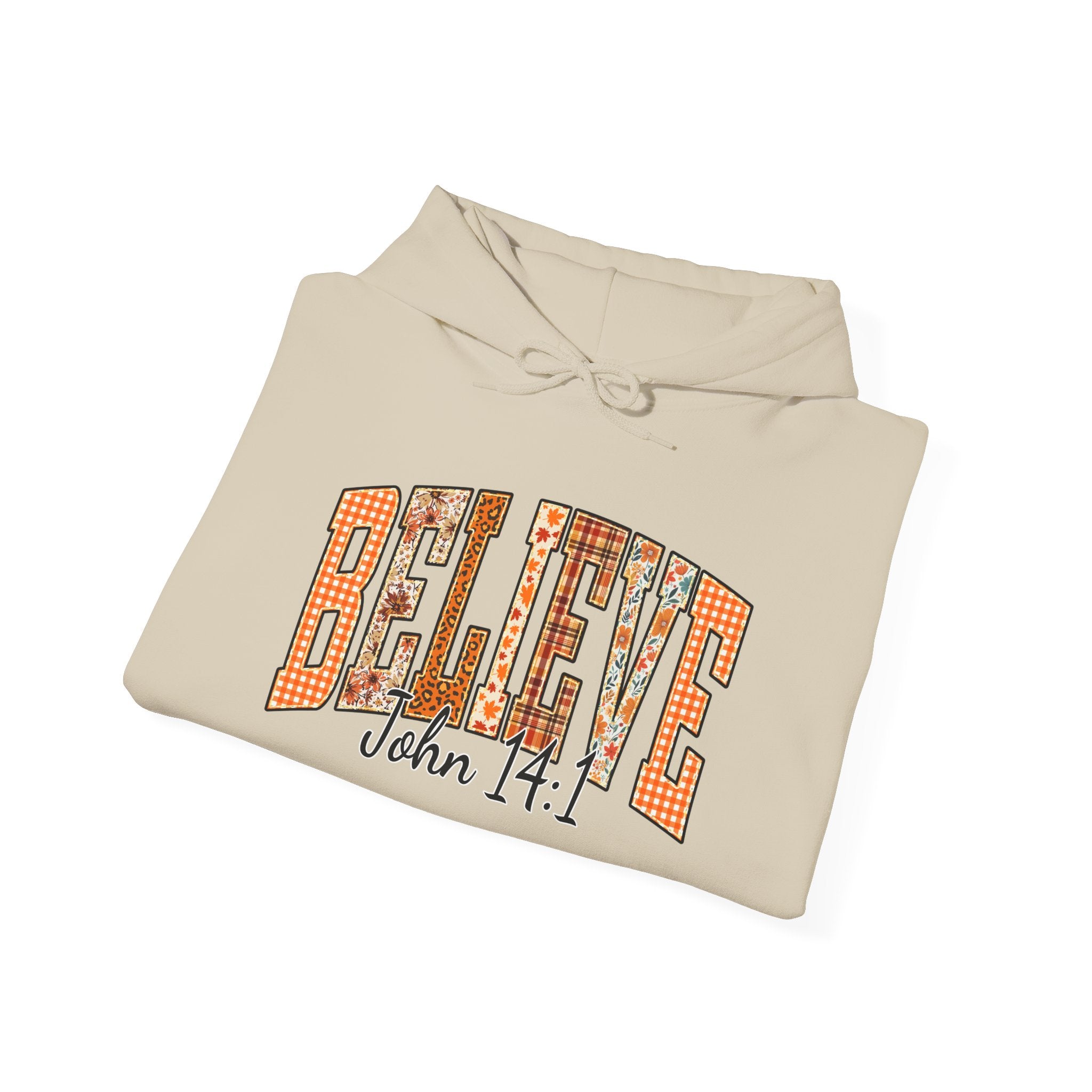 Believe John 14:1 Hoodie