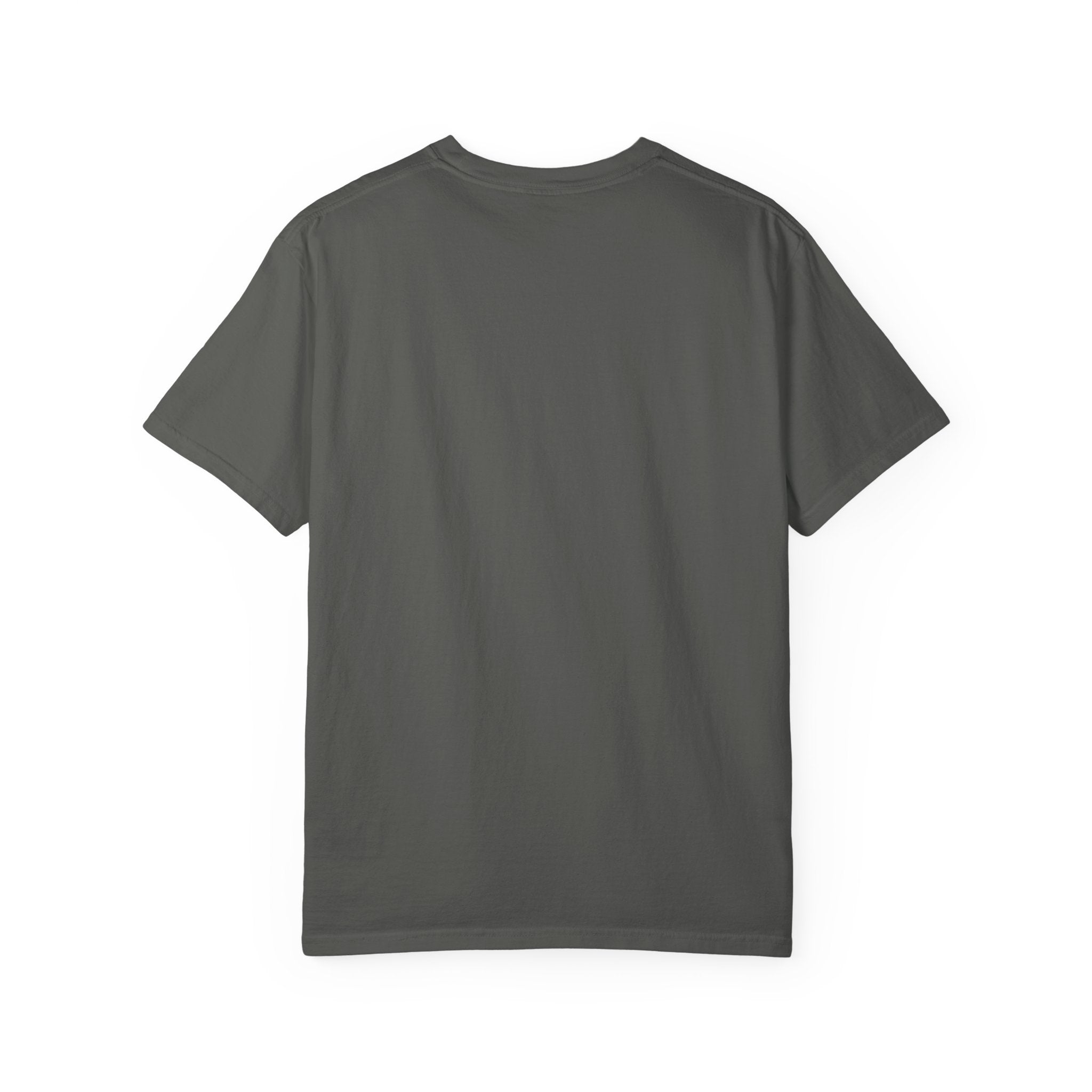 Healing is God's Promise T-Shirt, Faith-Based Apparel